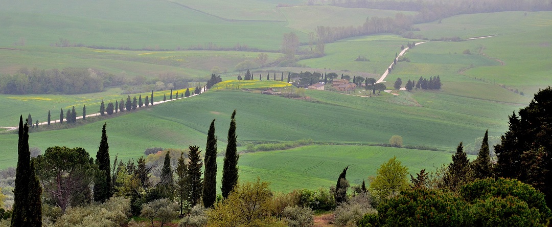 101 - Vue depuis Pienza