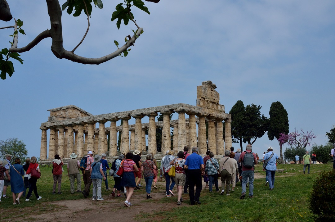 146 - Paestum - Au temple d'Aténa dit temple de Cérès - Vers 500 avant J.C