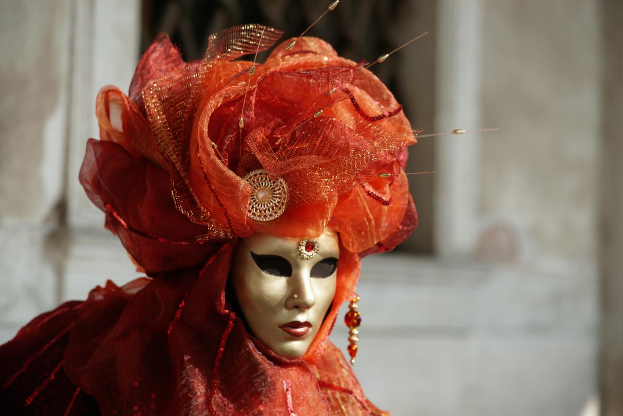 2. Carnaval de Venise 2014
