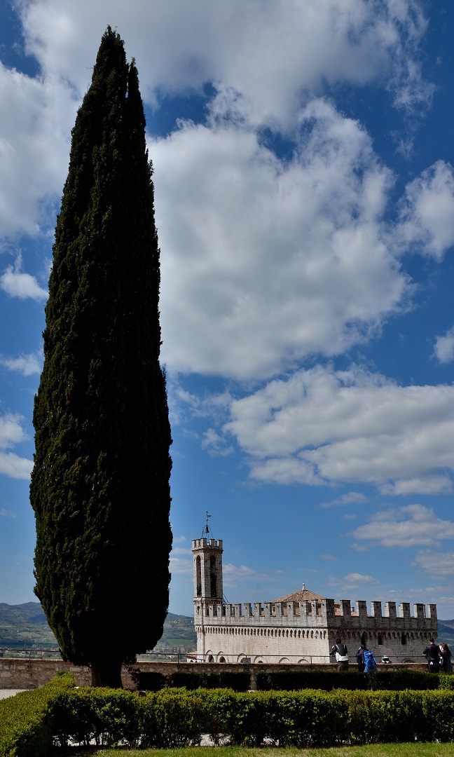 49 - Gubbio - Palais des Consuls