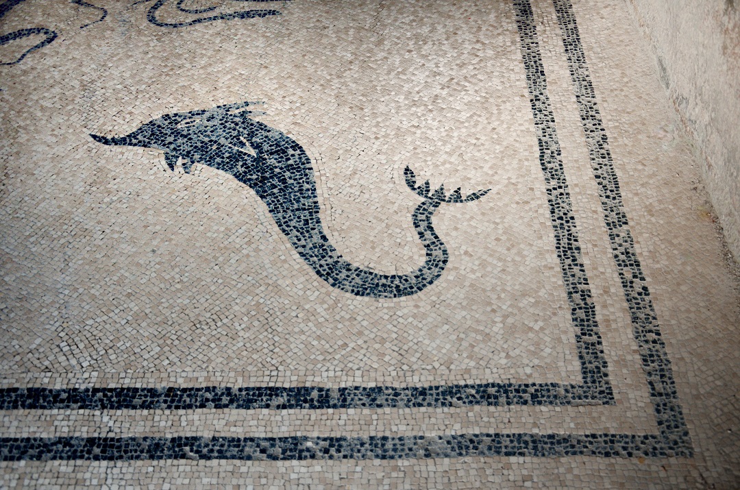 99 - Herculanum - Mosaïque de Triton du vestiaire de la section féminine