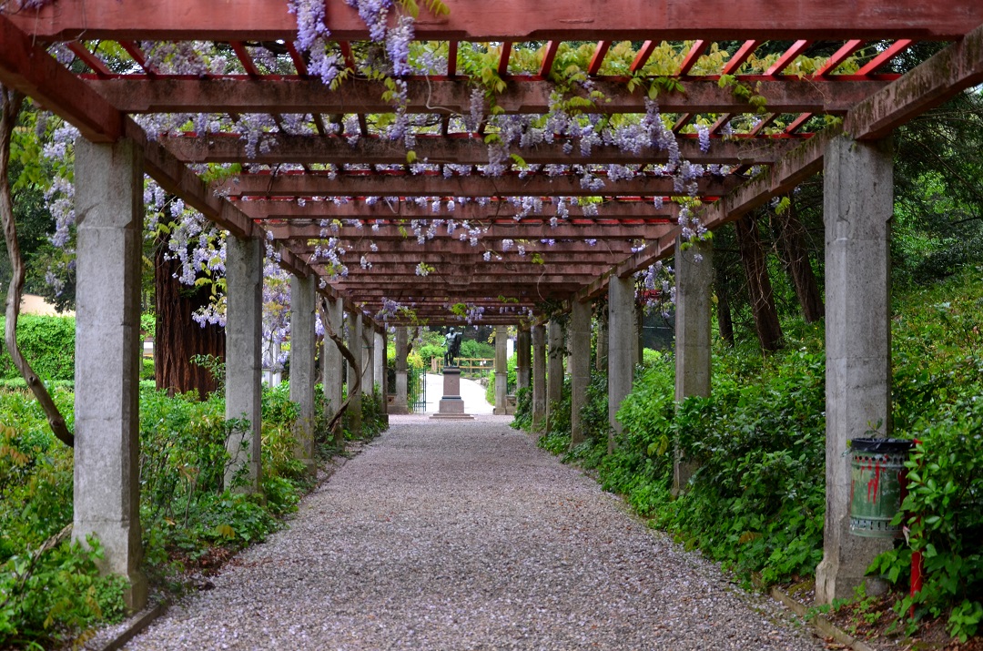 Viaggio Dante Alighieri Chambéry in Friuli Venezia Giulia